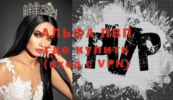 индика Баксан