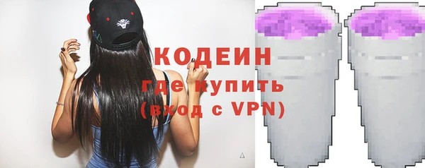 индика Баксан