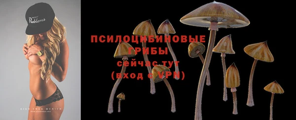 спиды Балабаново