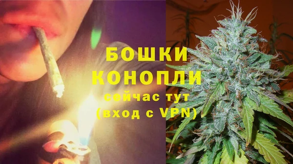 индика Баксан