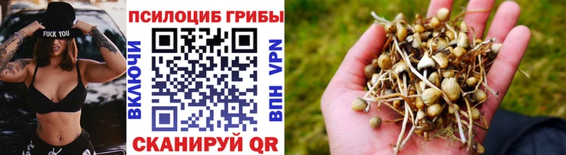 Галлюциногенные грибы Psilocybine cubensis  mega как войти  Видное 